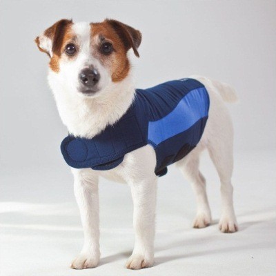 Blu Polo ThunderShirt Anxiety Relief Dog Calming Vest