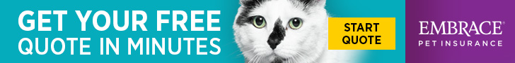 Ottieni il tuo preventivo gratuito in pochi minuti - Embrace Pet Insurance